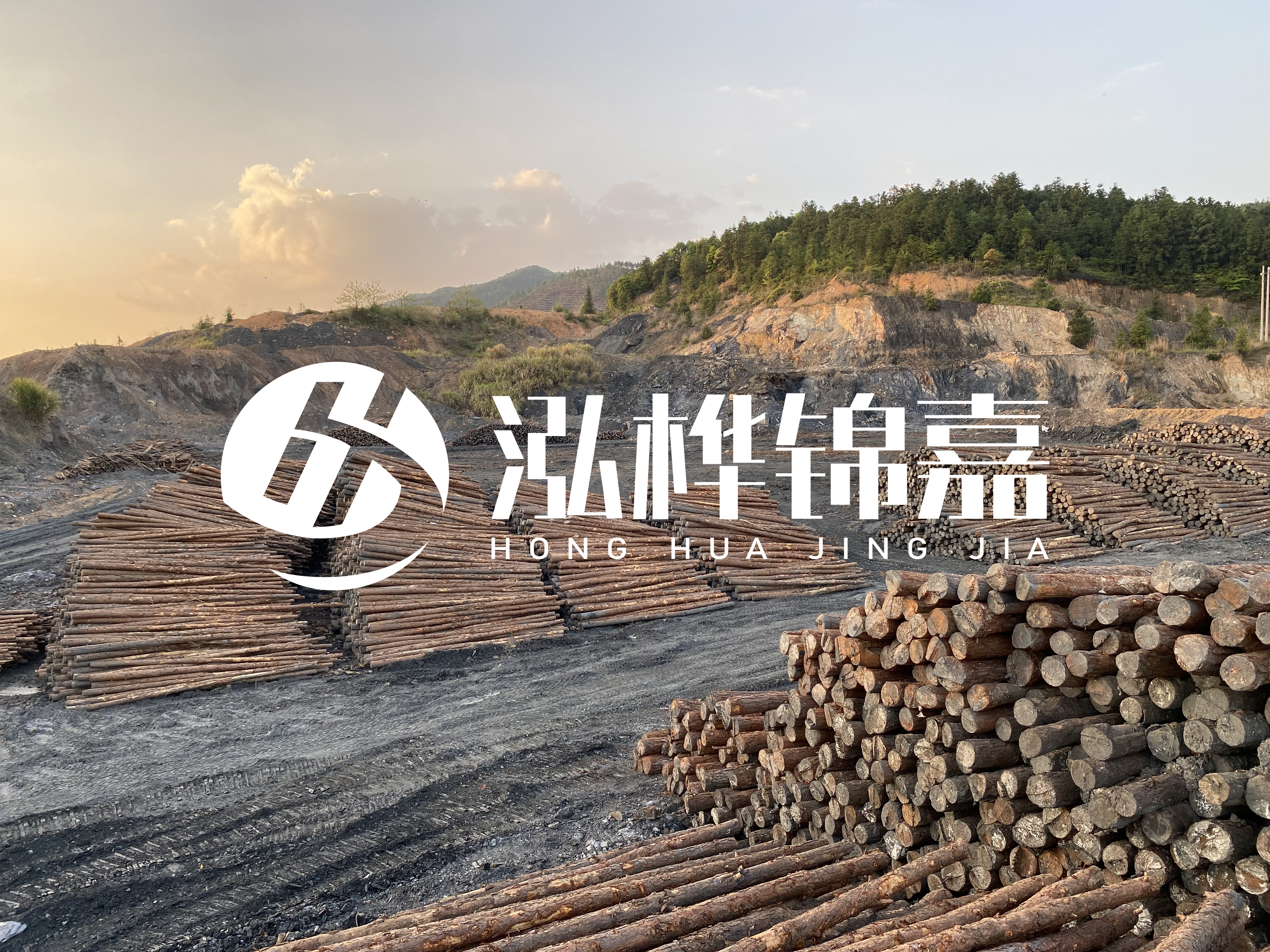 松木樁地基承載力怎么檢測(cè)？