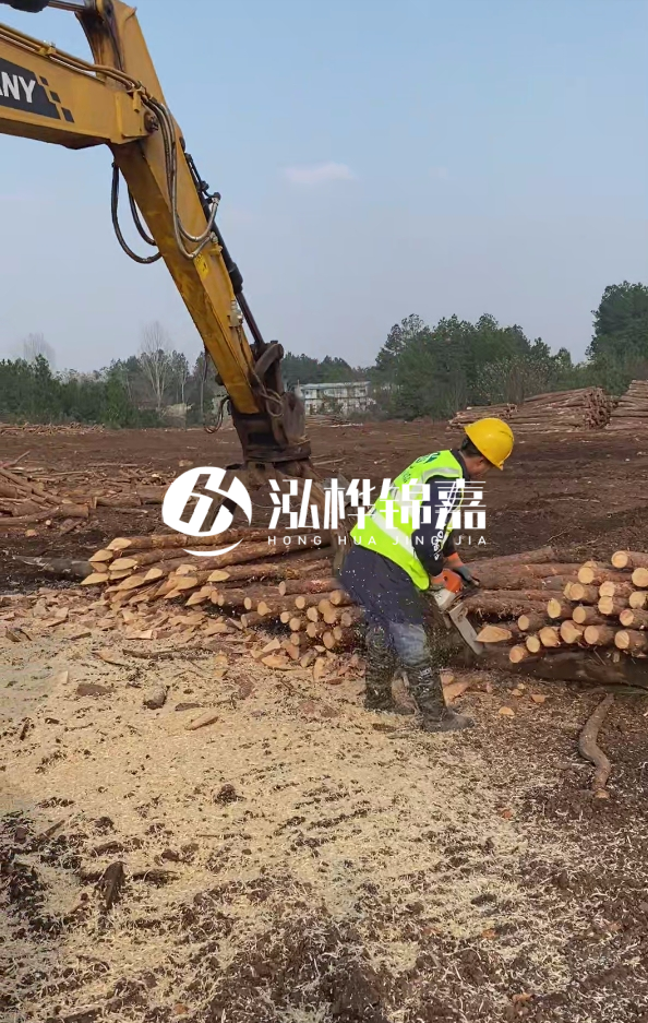 滁州挖機(jī)打木樁專業(yè)施工-河道打木樁與河岸加固關(guān)系？