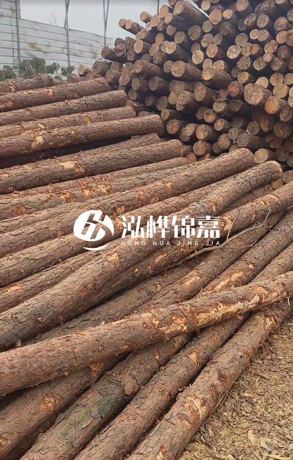 山西河道木樁護(hù)岸價(jià)格多少錢一米-每米河道打樁要花多少錢？