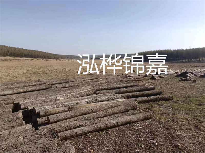 選擇什么木頭的床最好？