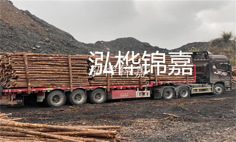 云南哪里有松木樁？實(shí)用指南，助您選購(gòu)優(yōu)質(zhì)木材！